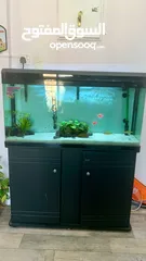  3 Fish tank for sale