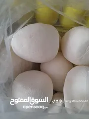  11 جميد كركي وسمن بلدي