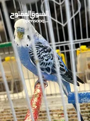  2 إقرأ الوصف