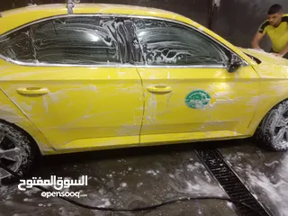  4 Skoda 2017
