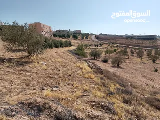  1 لقطة ؛ أرض زراعية مع غرفة على حدود الطفيلة والكرك ، تصلح للاستثمار كمزرعة سياحية أو منتجع سياحي