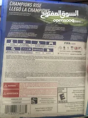  5 سيدي فيفا 2019