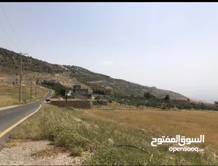  19 مزرعه للبيع في السلط مساحة الأرض 4218م مساحة البناء 450م