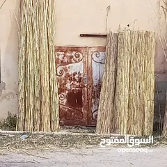  7 قصيب أخضر واصفر لتزيين الحدائق والمنتزهات والجلسات الخارجيه
