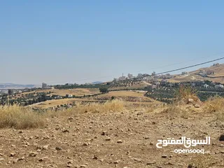  7 ارض في صافوط بالقرب من مدارس بناة الغد لها اطلالة وعلى شارعين بسعر مميز