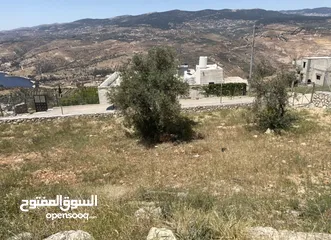  1 للبيع قطعة أرض بإطلالة مميزة على سد الملك طلال