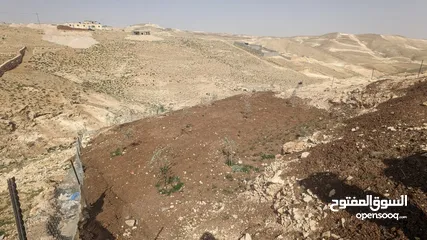  4 ارض مميزة محفورة بسعر مناسب