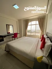  1 Beautiful Fully Furnished 1 BR apartment