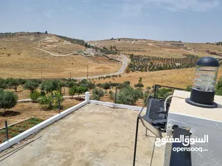  4 مزرعه للبيع  5 دونمات مع بيت