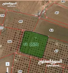  1 ارض زراعيه مشجره باشجأر الزيتون المثمره عمرها فوق الثلاثين سنه يوجد بها ابار ماء أرضية عدد اثنين