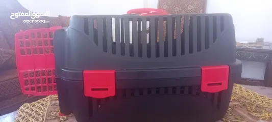  2 لنقل القطط
