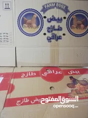  3 كراتين بيض فارغه للبيع مناسبه لنقل اغراض منزل من مكان الى مكان اخر