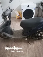  1 دراج بطه للبيع