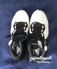  1 حذاء رجالي ماركة اديداس