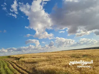  1 ارض للبيع في الجيزه الموارس 899م