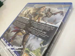  10 سي دي Horizon Zero Dawn مستعمل 1 شهر سبب البيع تم التختيم اللعبة شغالة ولا خدش