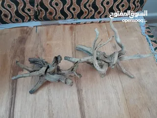 2 حوض سمك كريستال