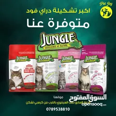 1 دراي فود جنكل