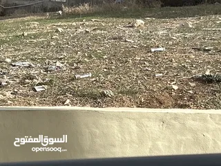  1 ارض للبيع الموقع القدس بيت حنينا حالة الارض خضرا