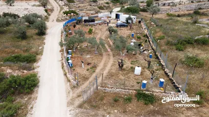  1 ارض للبيع في قرية مزارع النوباني تصنيف أ  حوض ابو ضهير  قريبة من عين الميمونة