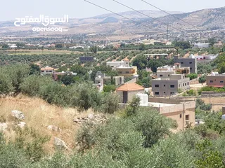  6 ارض 6 دونمات مزروعة زيتون في الصبيحي سعر مغري 100000 قرب التنظيم