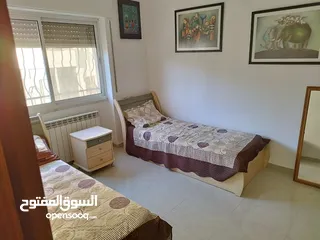  2 شقه مفروشه في عين منجد