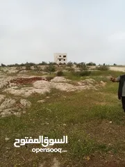  19 ارض سكنيه قرب مثلث حور فوعرا للبيع بسعر مغري