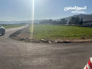  1 ارض للبيع عين الباشا