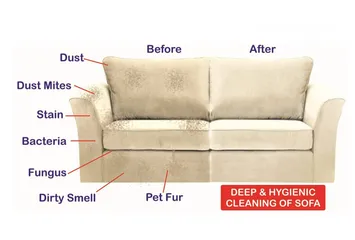  3 Sofa cleaning fujairah