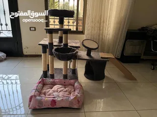  1 بيت ومنزل وشجرة قطط مع مشط ولعبه
