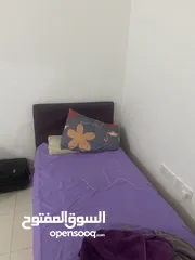  1 شقة بالمجاز 3