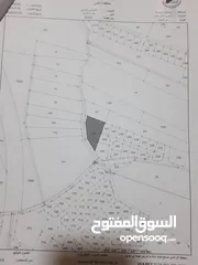  1 أرض للبيع (2405 متر مربع) في منطقة عين الباشا - قابل للتفاوض