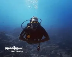 16 ساعه غوص  ستزن 200 متر اصليه ساعه مميزه جدا جدا ومرغوبه لدى الحميع بحاله فوق الممتازه
