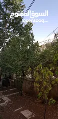  4 قص الأشجار وتقطيع الاشجار وتقليم الاشجار