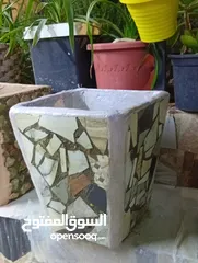  24 احواض زريعه اسمنتيه قابله للبدل على طيور