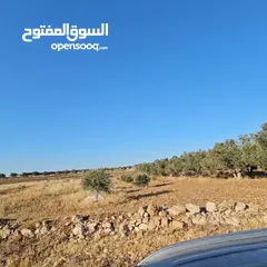  2 أرض للبيع 906متر في خاراس