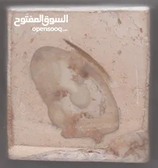  1 وجه انسان غريب في حجر طبيعي