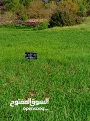  6 قطعة ارض للبيع في  عجلون عبين  ب سعر مغري