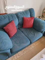  5 كنب الدب متوسط الحال للبيع