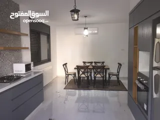  1 Furnished Apartment for Rent in Ramallah