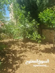  23 شقة مفروشة سوبر ديلوكس اعلان رقم (D314)