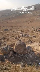  3 ارض زراعية للبيع في المفرق / دحل