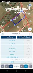 1 ارض للبيع في ذيبان