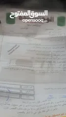  5 مرسيدس 300SEL