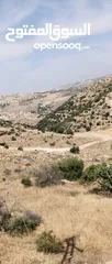  4 ارض  مشرفه على شارع الستين للبيع مساحة 1170م +200 متر فضله في السلط قرب مسجد الهاشمي (القسام شرقي)