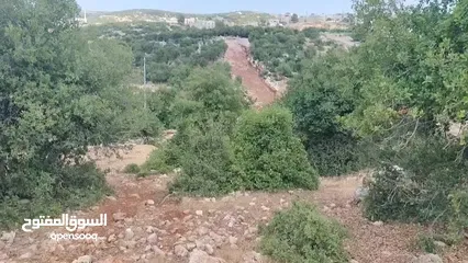  3 قطعة ارض للبيع راسون منطقة الطالبيه