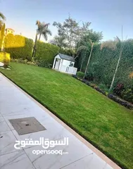  15 نجيل طبيعي بسبيلم بيور
