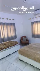  11 ستديو / شقة للايجار اليومي فقط