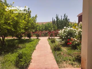  10 134-Hectare Farm for Sale in Morocco - مزرعة محفظة للبيع بمساحة 134 هكتار في منطقة ورزازات، المغرب