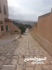  10 مزرعه فاخره تل الرمان منطقه مزارع الخير